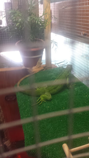 Pet Store «Animal Ark», reviews and photos, 2730 Brookdale Dr, Kingwood, TX 77339, USA