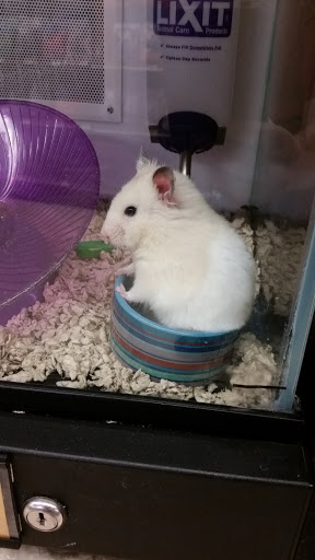 Pet Supply Store «Petco Animal Supplies», reviews and photos, 5631 Grove Blvd, Hoover, AL 35226, USA