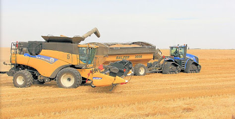 Markusson New Holland