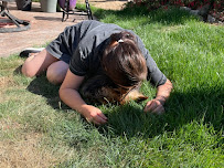 At Home Veterinary Services Seattle Renton - Photo 8 - Car repair in , Renton