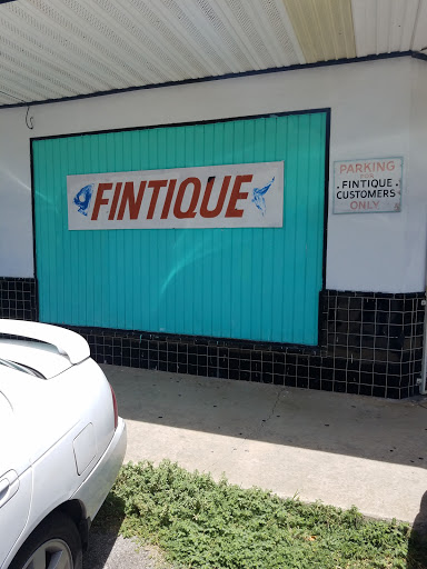Tropical Fish Store «Fintique», reviews and photos, 701 West Ave, San ...