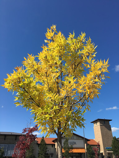 Hair Salon «Ulta Beauty», reviews and photos, 7081 SW Nyberg St, Tualatin, OR 97062, USA