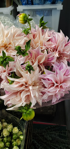 Florist «Temptations Flower Shop», reviews and photos, 2429 N Arkansas, Wichita, KS 67204, USA