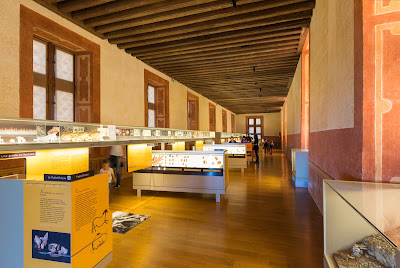Musée de Préhistoire du Grand-Pressigny à Le Grand-Pressigny