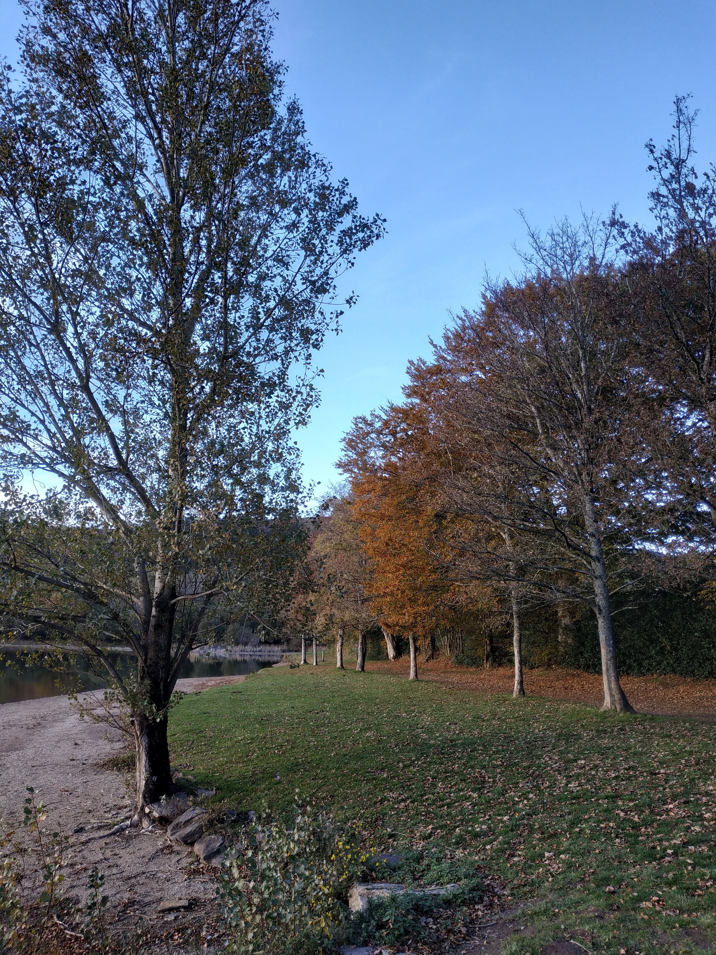 Photo n° 3 de l'avis de Aurélien. fait le 23/07/2019 à 09:06