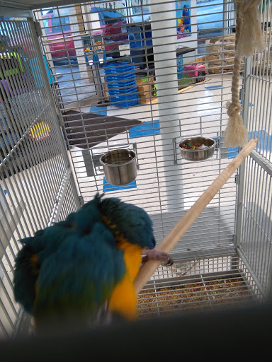 Pet Store «Fish Bowl», reviews and photos, 2117 E Race Ave, Searcy, AR 72143, USA