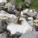 Photo n°1 de l'avis de Lida. fait le 30/08/2021 à 12:21 sur le  Hotel Larchhof à Ratschings