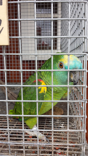 Zoo «Dutch Creek Farm Animal Park», reviews and photos, 6255 N 1000 W, Shipshewana, IN 46565, USA