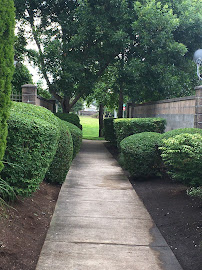 New View Yard Maintenance - Photo 6 - Car repair in , Eugene