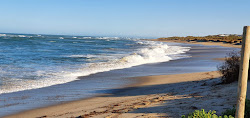 Seaspray Beach'in fotoğrafı - rahatlamayı sevenler arasında popüler bir yer
