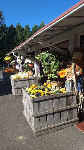 Produce Market «E Draghi & Son Farm Stand», reviews and photos, 86 Main St, South Glastonbury, CT 06073, USA