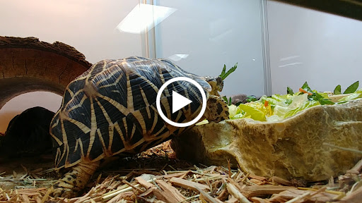 Pet Store «Pets & Such», reviews and photos, 3680 3500 S, West Valley City, UT 84120, USA