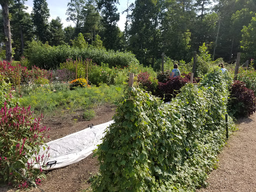 Florist «Powdersville Wren Florist», reviews and photos, 3320 SC-153, Piedmont, SC 29673, USA