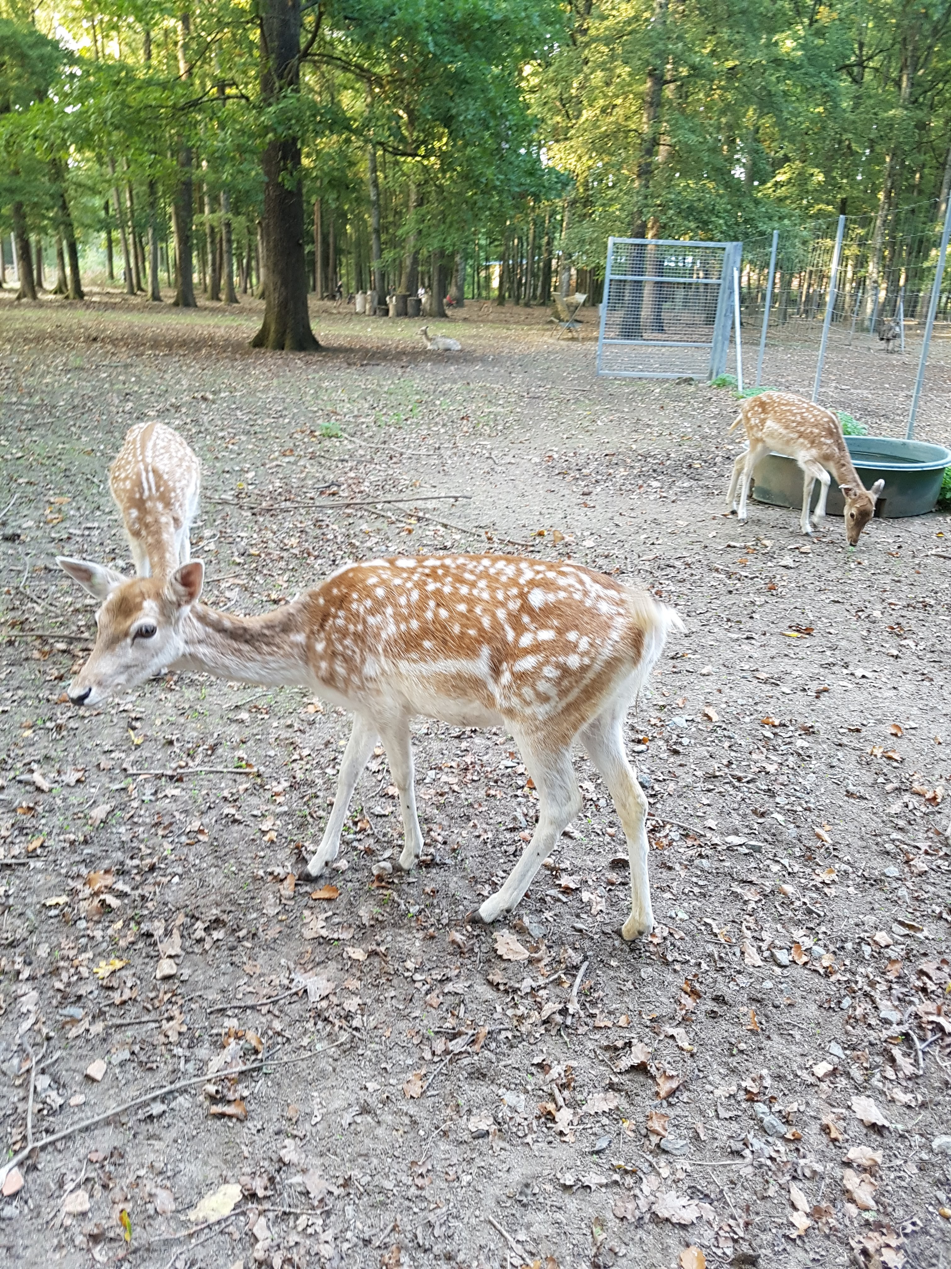 Photo n° 1 de l'avis de Gwid.a fait le 14/10/2019 à 08:45