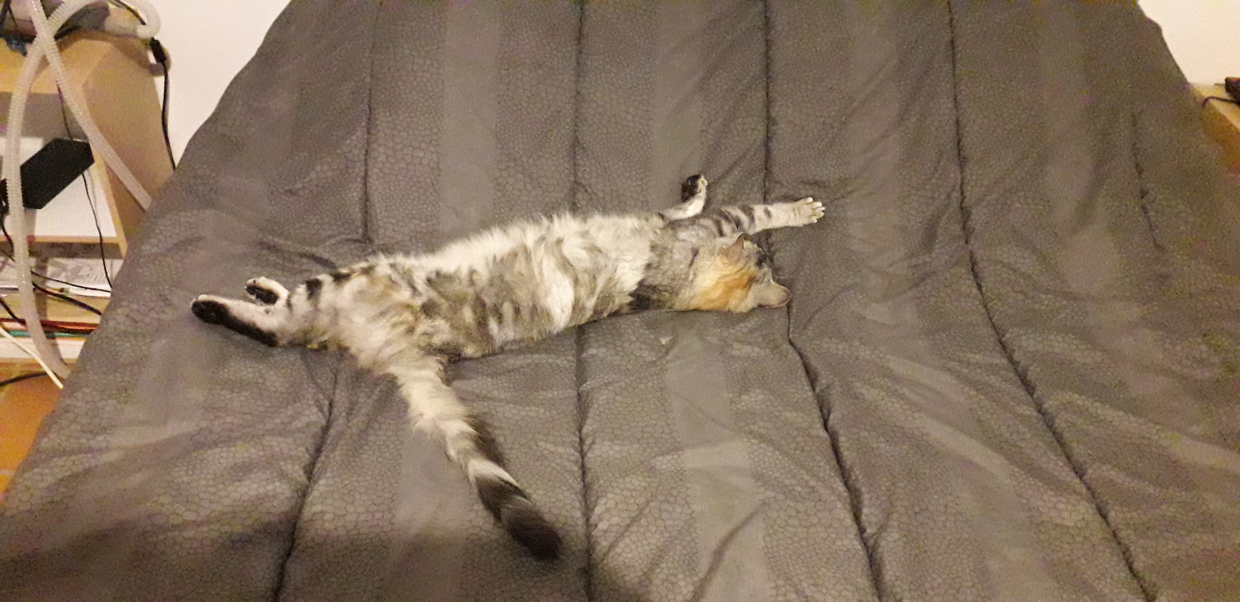 Photo n° 2 de l'avis de Sechet.a fait le 06/10/2020 à 18:31