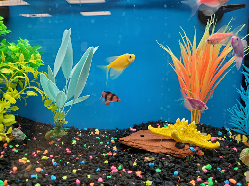 Pet Store «Harrison Pet Center», reviews and photos, 10517 Harrison Ave, Harrison, OH 45030, USA