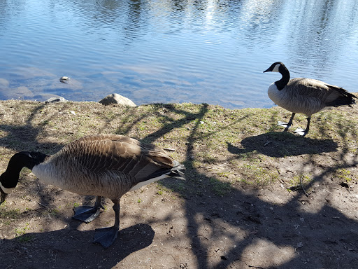 Park «Taylor Park», reviews and photos, 100 Main St, Millburn, NJ 07041, USA