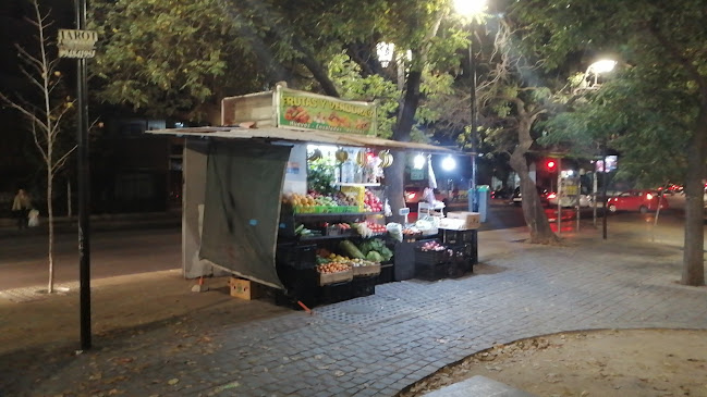 Opiniones de Kiosco de frutas y verduras en Puente Alto - Frutería