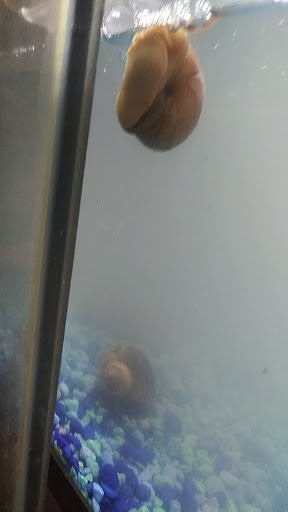 Pet Store «Slither & Swim», reviews and photos, 38 Saw Mill Rd # 16, West Haven, CT 06516, USA