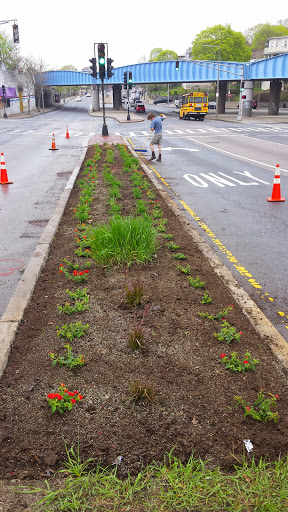 Park «Ceylon Park», reviews and photos, 105 Ceylon St, Boston, MA 02121, USA