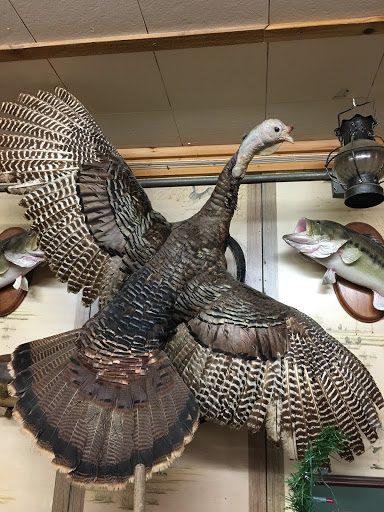 Grocery Store «Shelby Forest General Store», reviews and photos, 7729 Benjestown Rd, Millington, TN 38053, USA