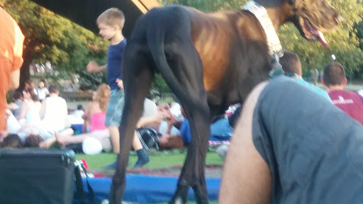 Performing Arts Theater «Miller Outdoor Theatre», reviews and photos, 6000 Hermann Park Dr, Houston, TX 77030, USA