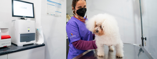 Centro Veterinario Cabrils en Cabrils