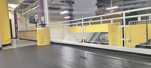 Gym «Planet Fitness», reviews and photos, 235 E Main St, Northville, MI 48167, USA