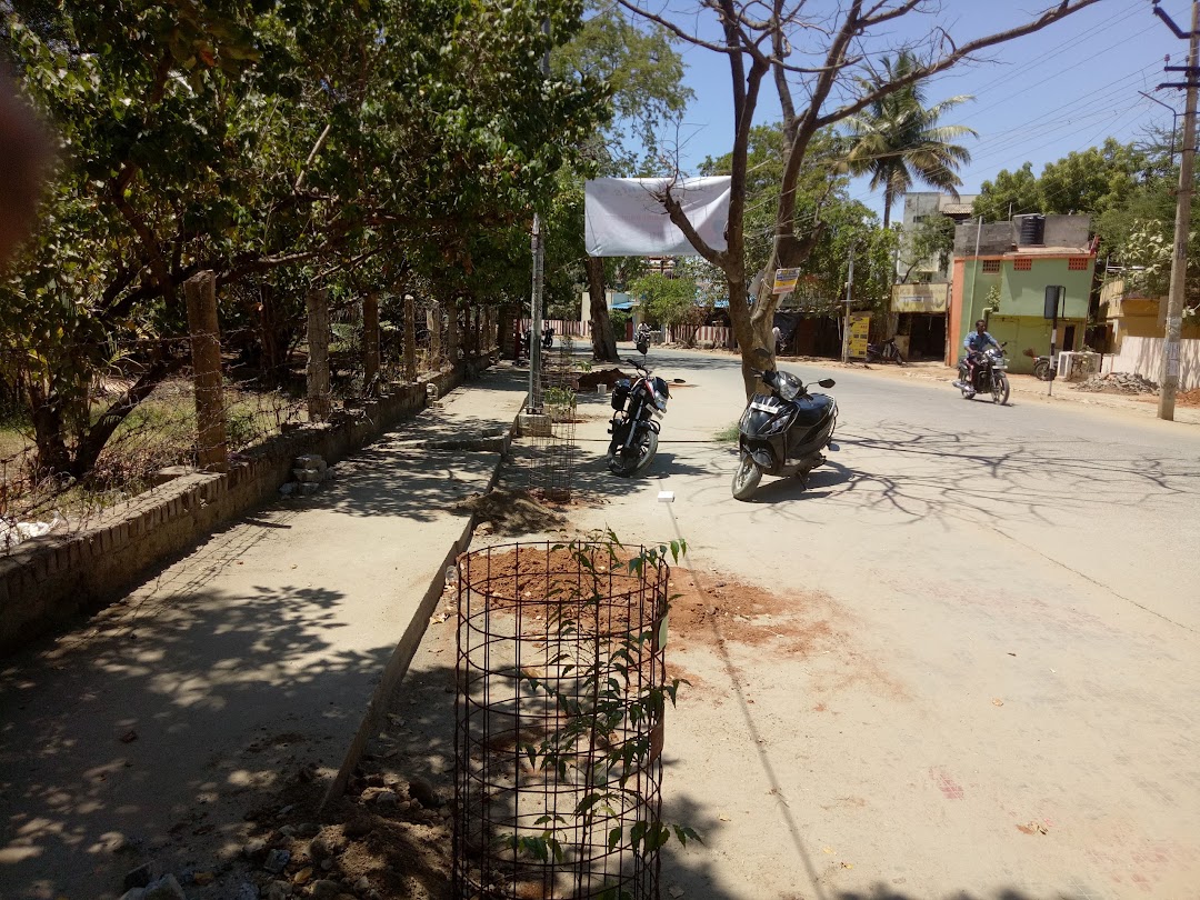 TMS Puram