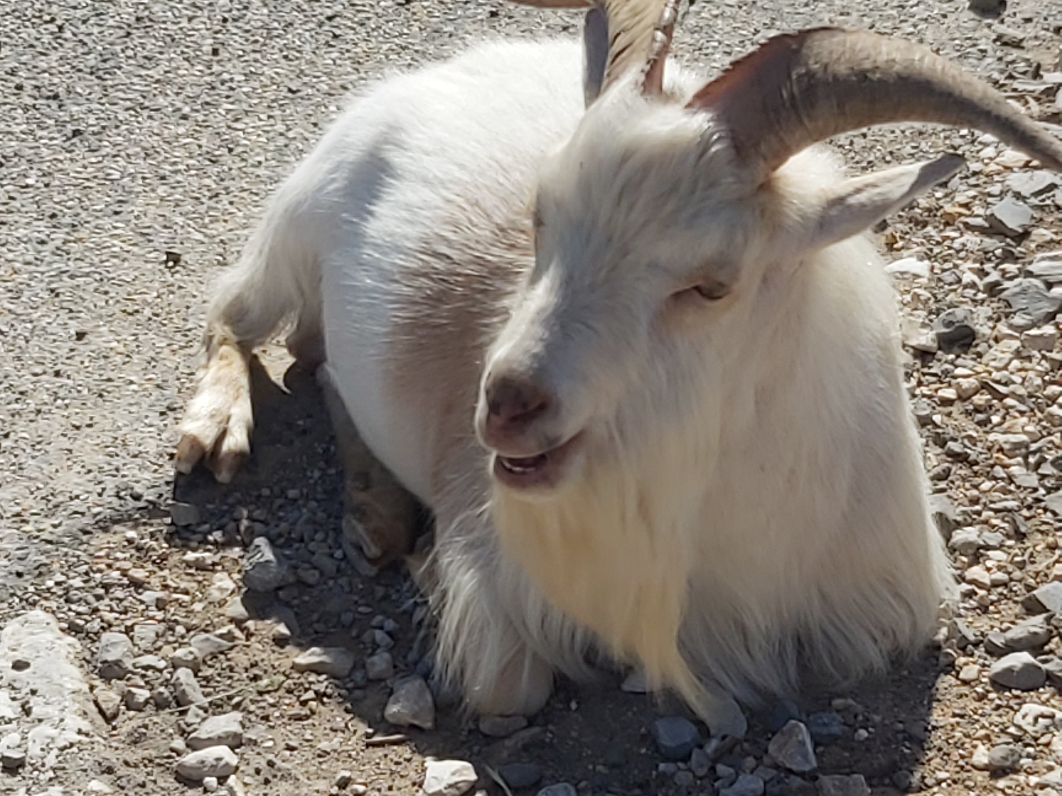 Photo n° 2 de l'avis de vero.e fait le 16/06/2021 à 04:16