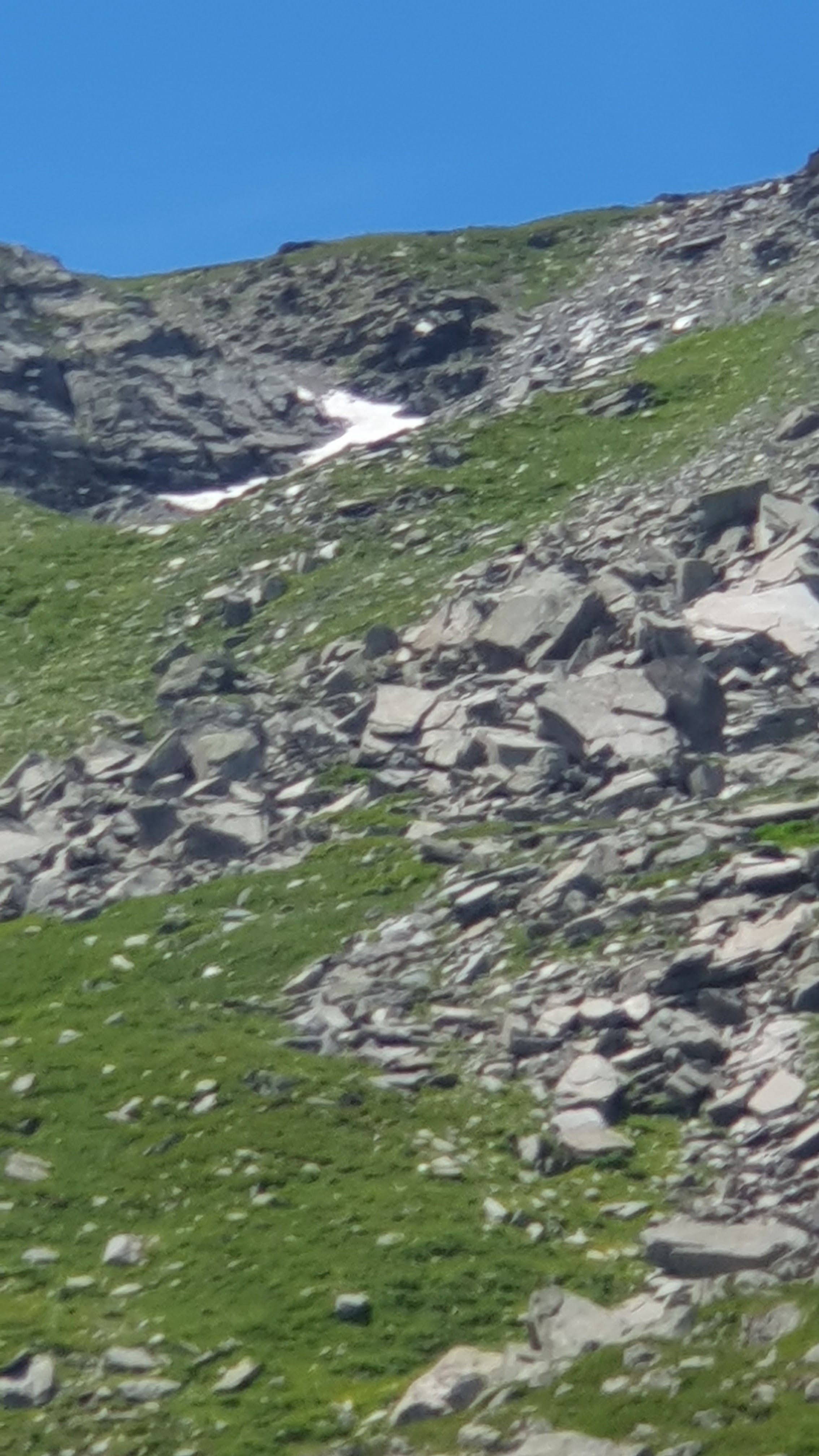 Photo n° 3 de l'avis de Véronique.i fait le 15/07/2023 à 20:47