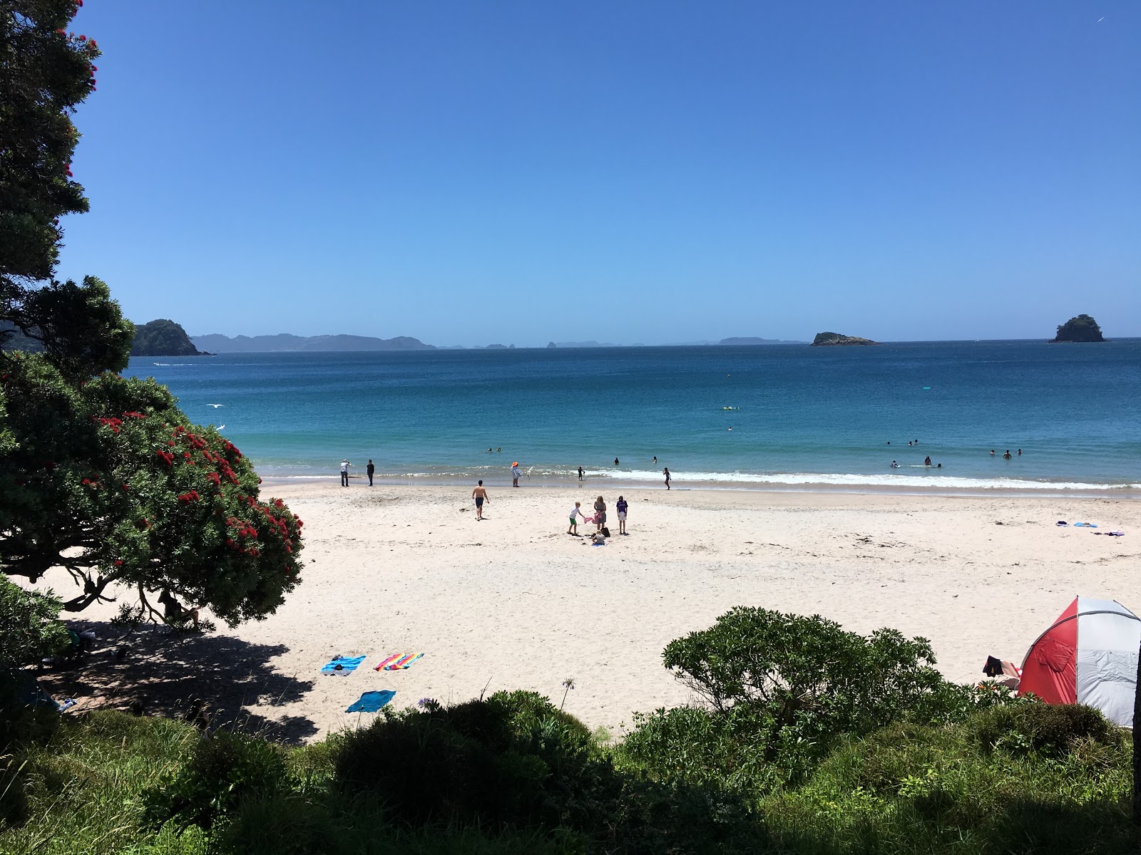 Fotografie cu Hahei Beach zonă sălbatică