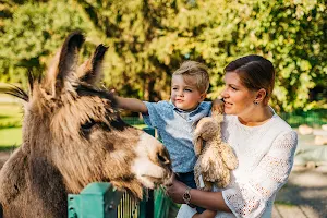 Freiberg Zoo image