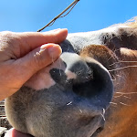 Photo n°8 de l'avis de Carmela.a fait le 14/05/2024 à 05:58 sur le  The Old Farmhouse Accommodation à Pietrelcina