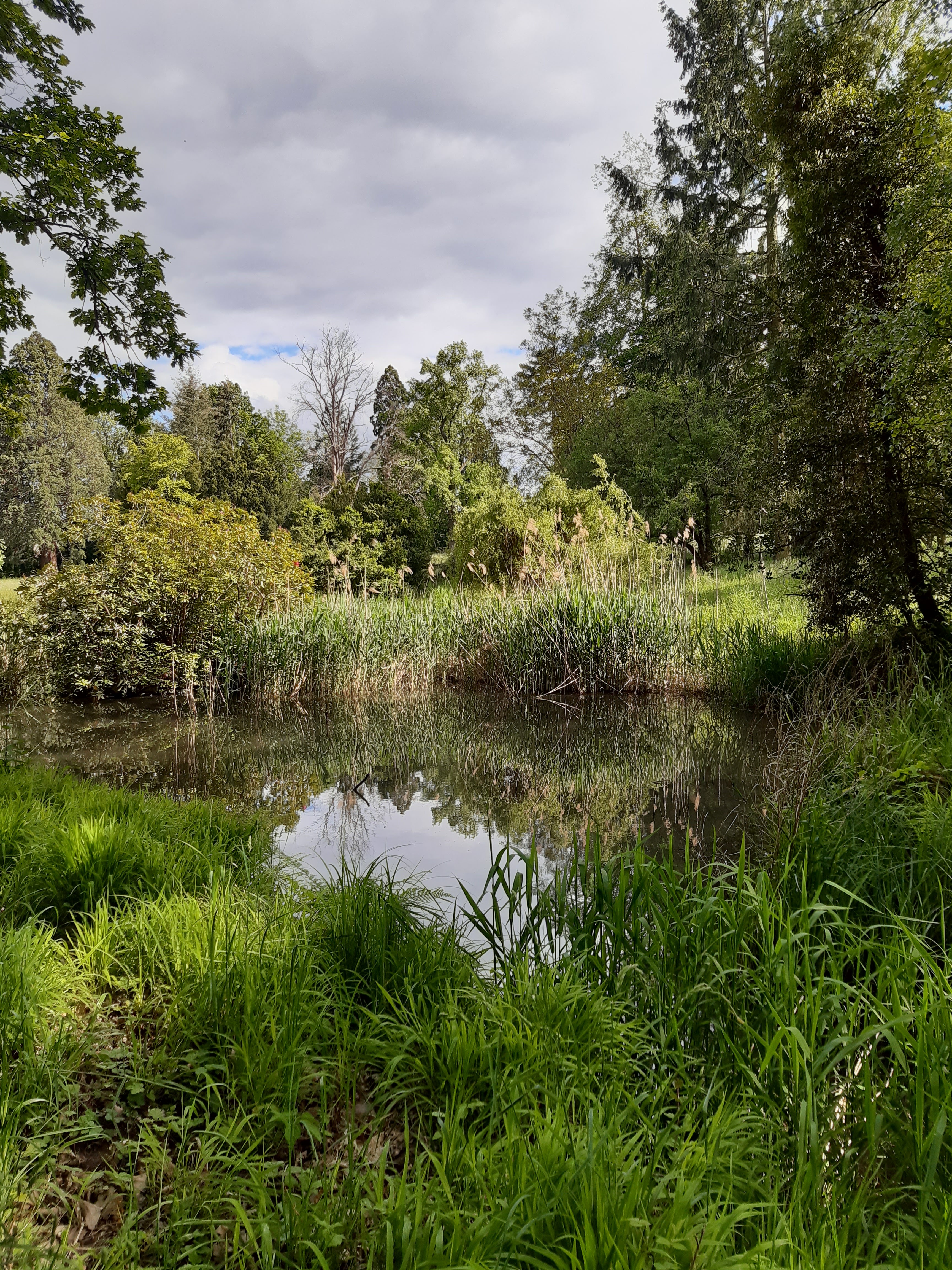Photo n° 5 de l'avis de Ellen.a fait le 23/05/2021 à 18:28