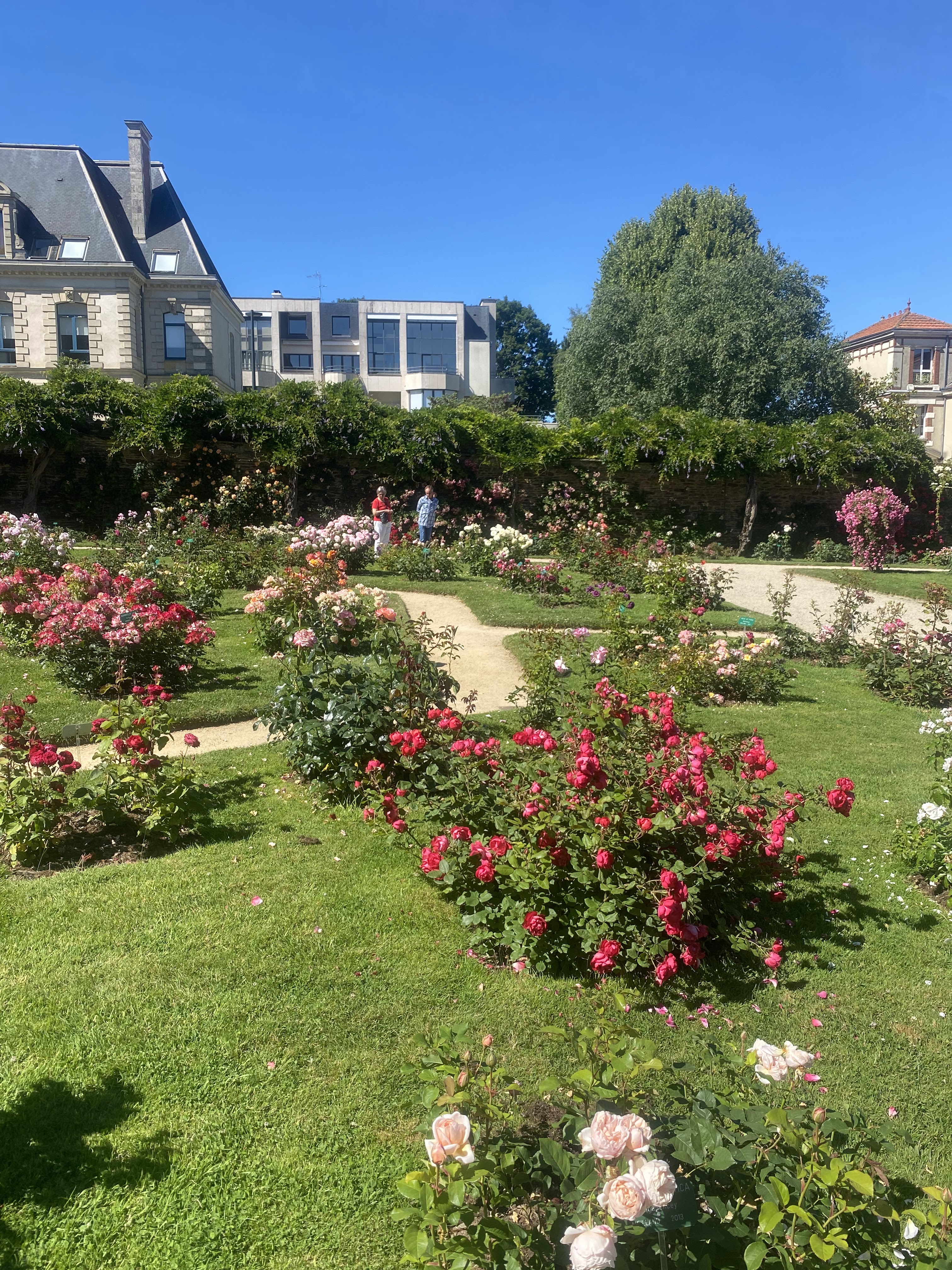 Photo n° 3 de l'avis de Sunshine.o fait le 18/08/2022 à 15:22