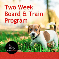 All Dogs Unleashed Dog Training Boise - Photo 3 - Car repair in Boise, ID, Meridian