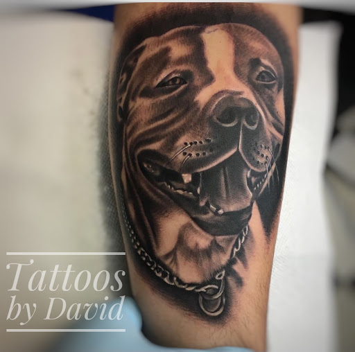 Explore aquarius tattoo ideas for men, creative tattoo ideas in Idaho Falls, available at Govannon Studios Llc