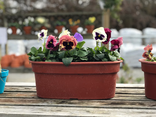 Supermarket «Best Value Supermarket», reviews and photos, 10748 Buckley Hall Rd, Mathews, VA 23109, USA