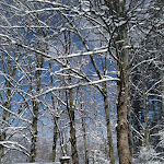 Photo n°4 de l'avis de francesca.a fait le 26/02/2022 à 13:30 sur le  Agriturismo Cà Gabrielli à Lizzano in Belvedere