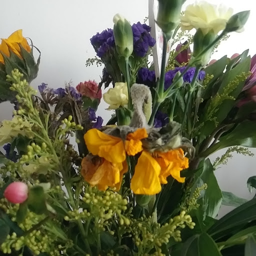 Florist «Imondi & Sons Florists», reviews and photos, 182 Smithfield Ave, Pawtucket, RI 02860, USA