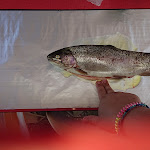 Photo n° 1 de l'avis de Jessica.e fait le 26/08/2020 à 12:22 pour Pêcherie à Saint-Jean-de-Chevelu