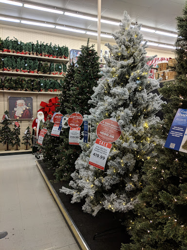 Craft Store «Hobby Lobby», reviews and photos, 130 Sundance Pkwy #200, Round Rock, TX 78681, USA