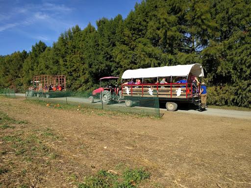 Farm «Clarks Elioak Farm LLC», reviews and photos, 10500 Clarksville Pike, Ellicott City, MD 21042, USA