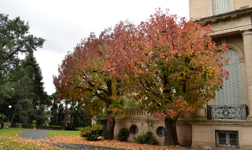 Palacio Sans Souci