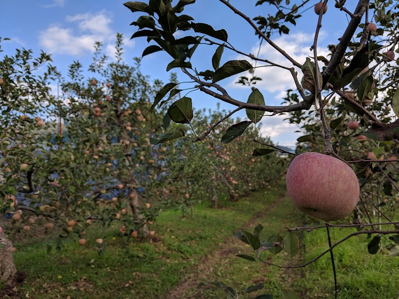 Asakura Apple Farm