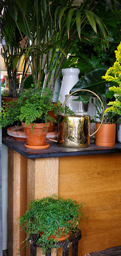 Florist «Toadflax Inc», reviews and photos, 5500 Walnut St, Pittsburgh, PA 15232, USA