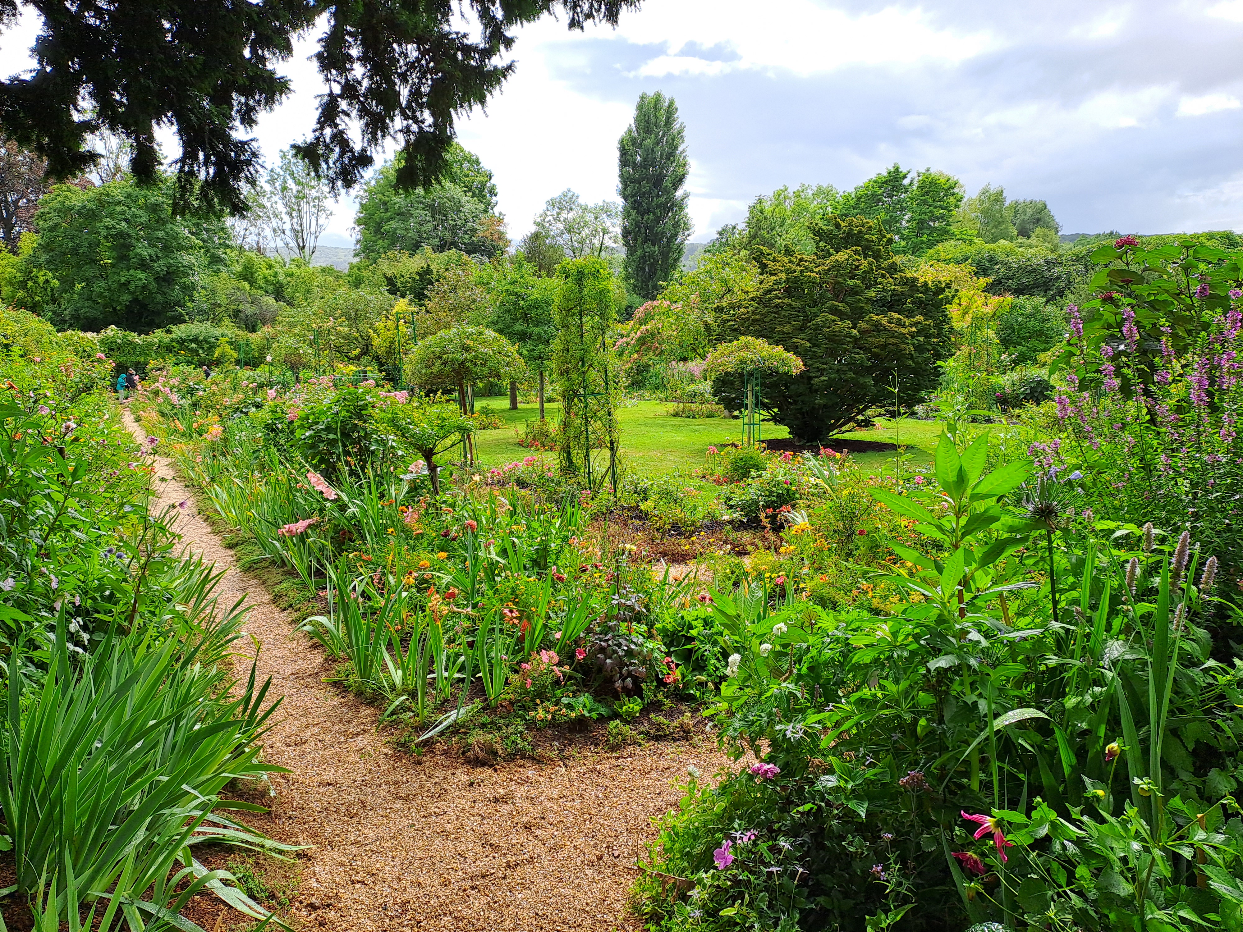 Photo n° 2 de l'avis de Pat.e fait le 24/07/2023 à 17:30
