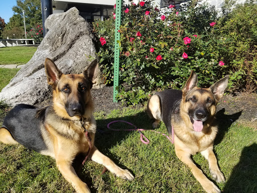 Visitor Center «PA Welcome Center I-81 North», reviews and photos, I-81, Greencastle, PA 17225, USA