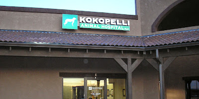 Kokopelli Animal Hospital: Bechtel, Barrett DVM